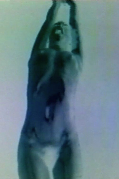 Movie poster for Tránsito (1988)