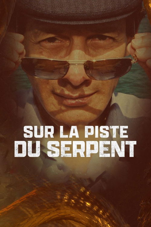 Movie poster for The Serpent: Conversations with a Killer (2023)