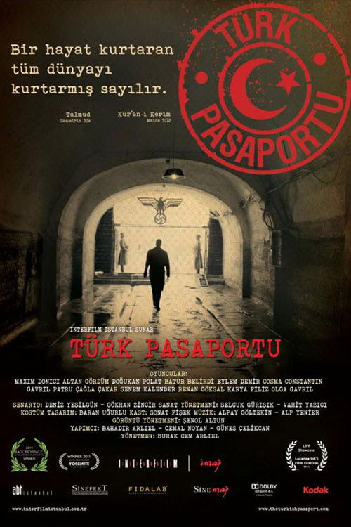 Movie poster for Turkish Passport (2011)