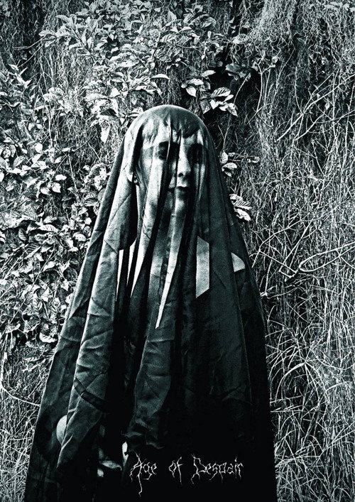 Movie poster for Age of Despair (2015)