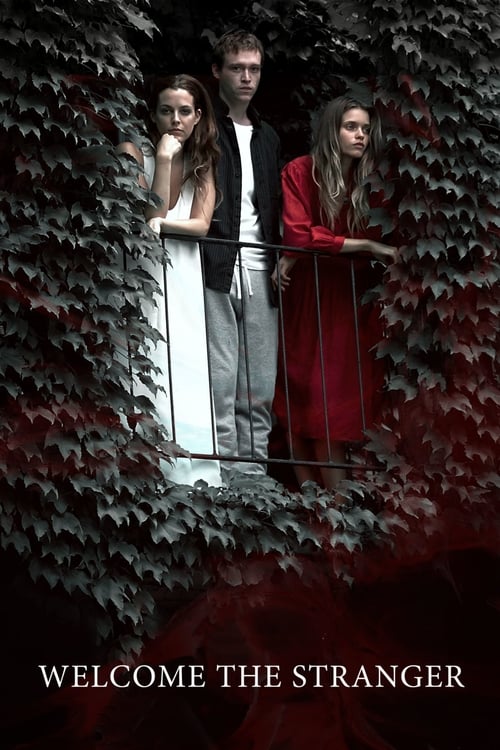 Movie poster for Welcome the Stranger (2018)