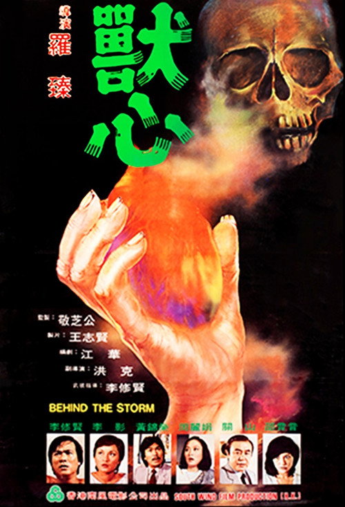Movie poster for Behind the Storm (1982)