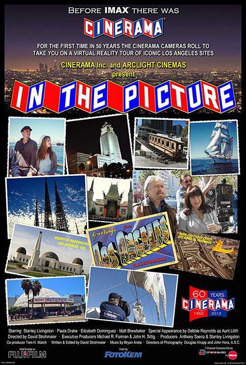 Movie poster for In the Picture (2012)