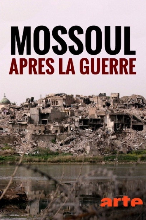 Movie poster for Mossoul, après la guerre (2019)