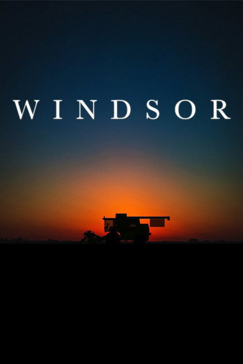 Movie poster for Windsor (2016)