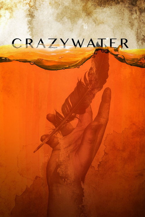 Movie poster for Crazywater (2013)