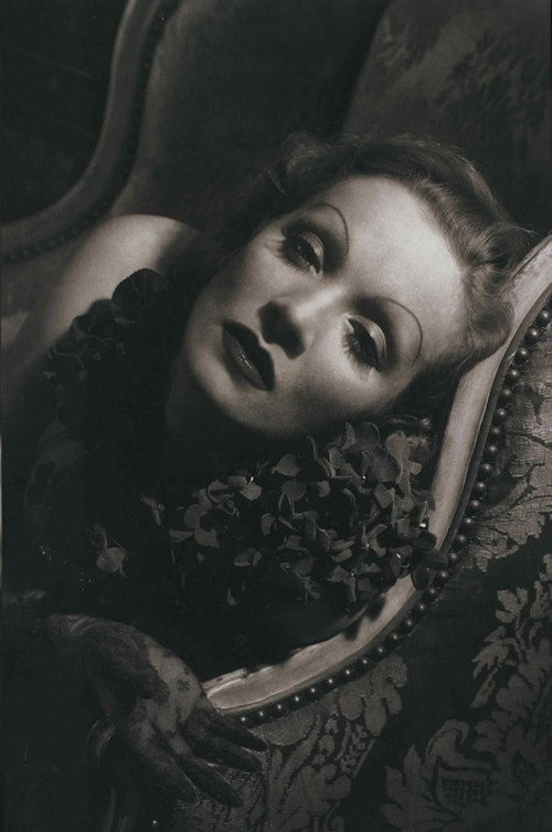 Movie poster for Marlene Dietrich: Shadows and Light (1996)