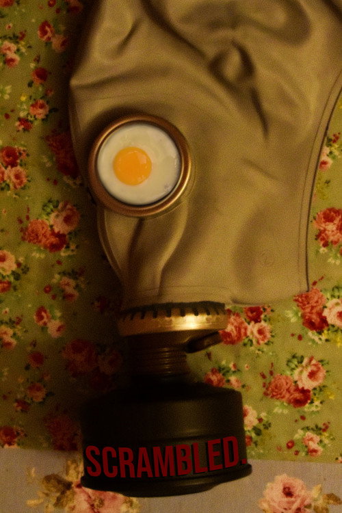 Movie poster for Scrambled.