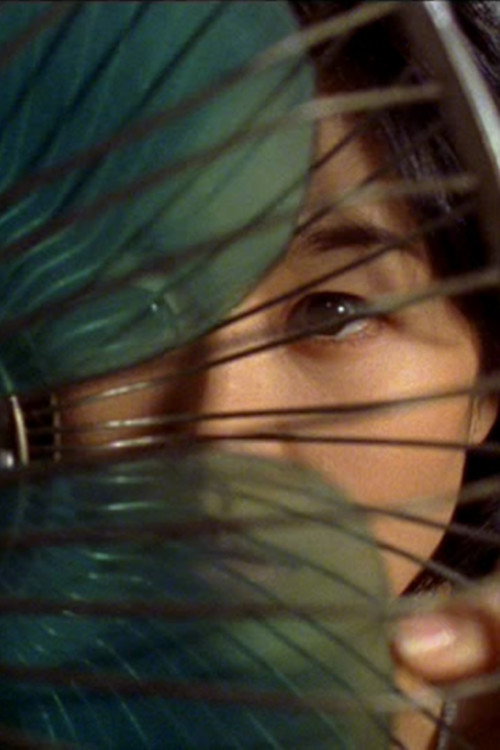 Movie poster for Dance begins (2003)