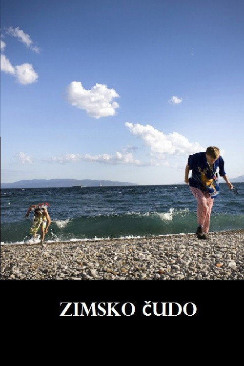 Movie poster for Winter Miracle (2012)