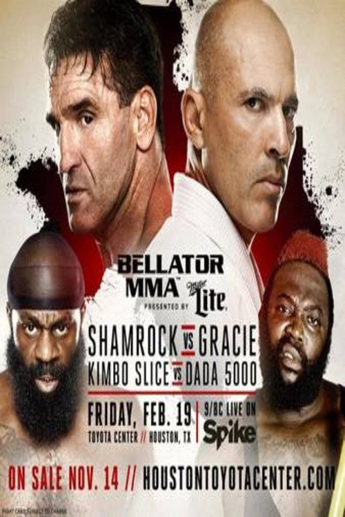 Movie poster for Bellator 149 (2016)