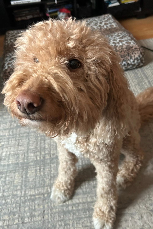 Photo of Esme, Acting