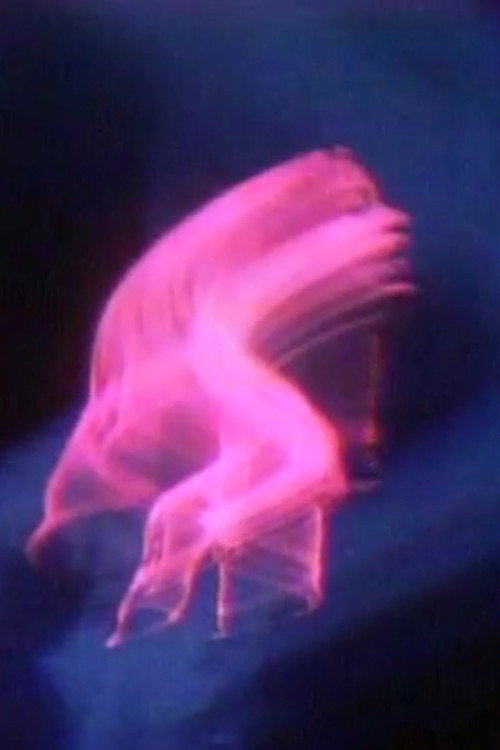 Movie poster for Terminal Self (1972)
