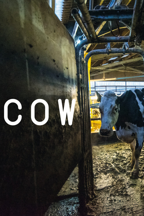Movie poster for Cow (2022)