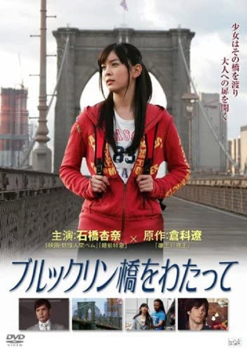Movie poster for Across Brooklyn Bridge (2011)