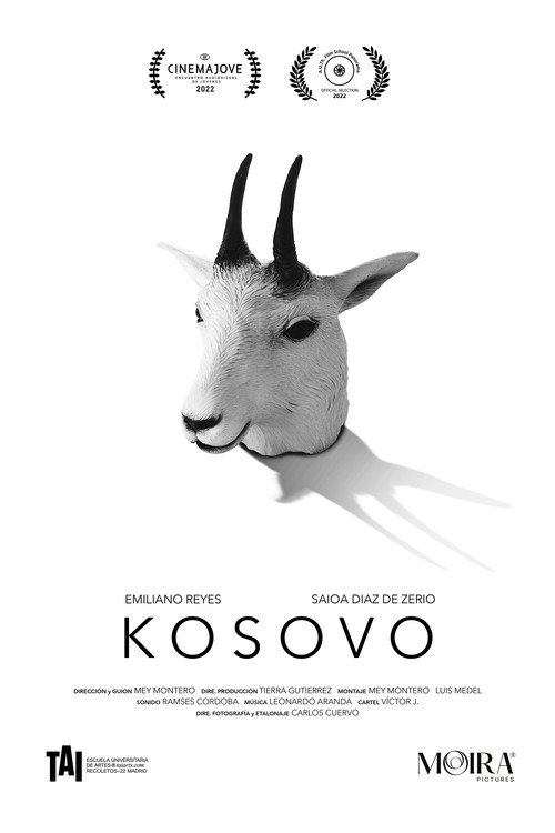 Movie poster for Kosovo (2022)