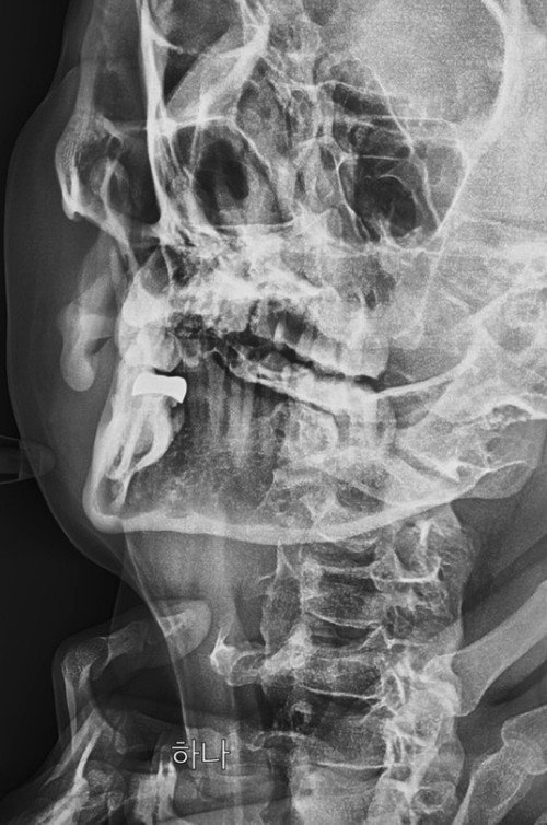 Movie poster for ray (2025)