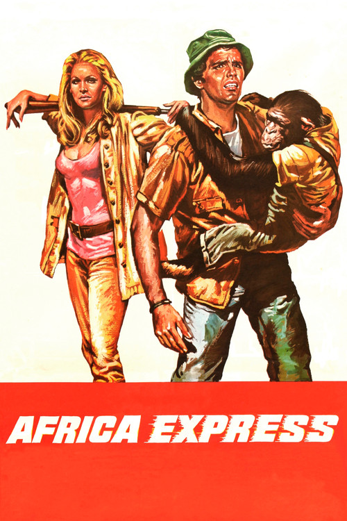 Movie poster for Africa Express (1975)