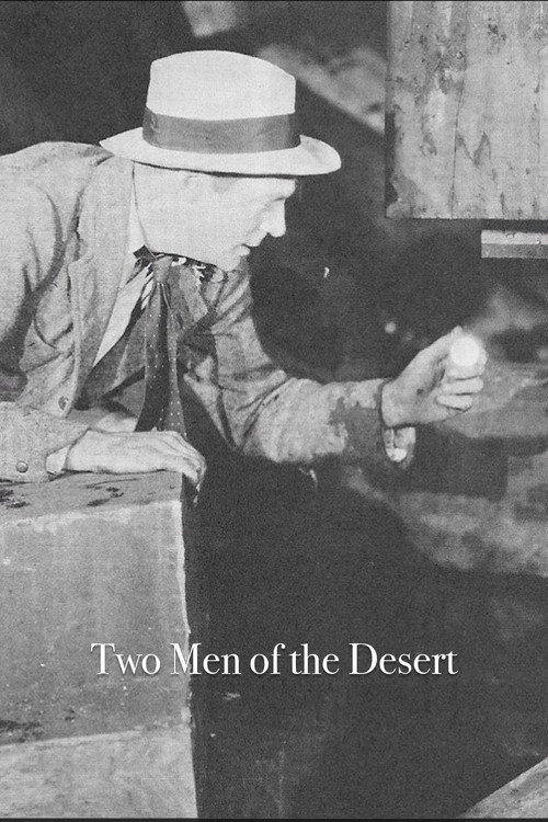 Movie poster for Two Men of the Desert (1913)