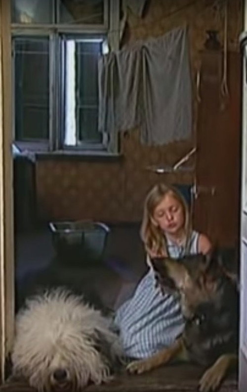 Movie poster for Suņu vīrs un Tille (2002)