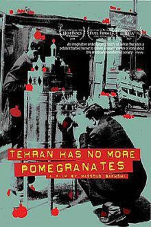 Movie poster for Tehran Has No More Pomegrenates! (2007)