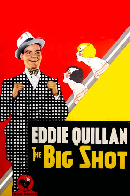 Movie poster for The Big Shot (1931)