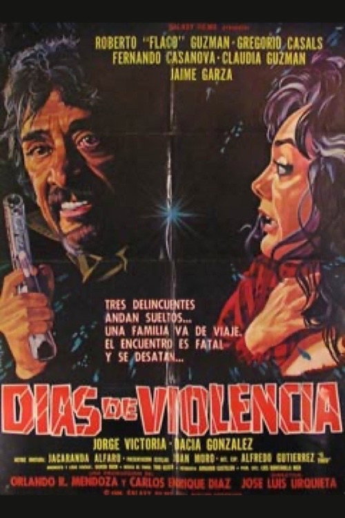 Movie poster for Días de violencia (1987)