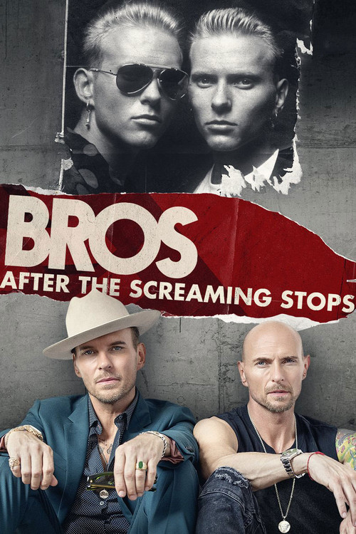 Movie poster for After the Screaming Stops (2018)