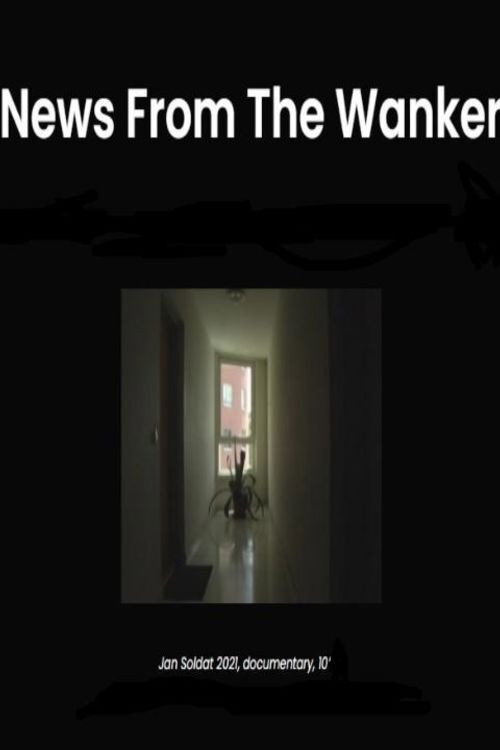Movie poster for News from the Wanker (2021)