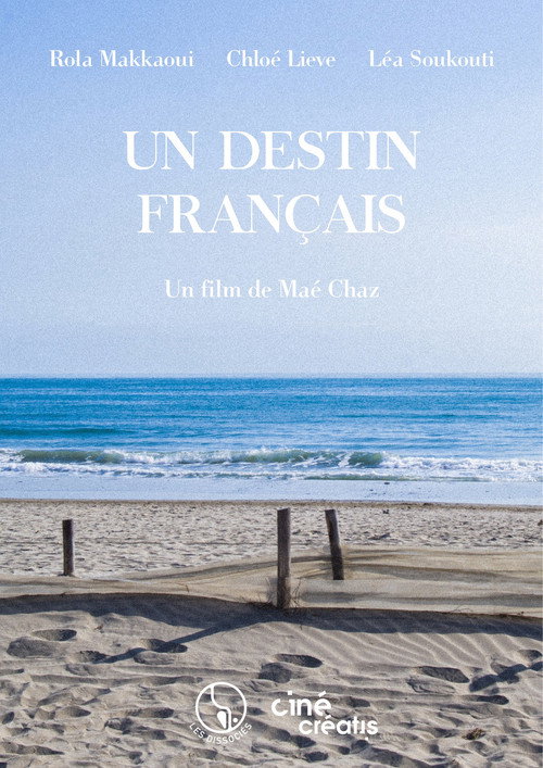 Movie poster for Un destin français (2023)