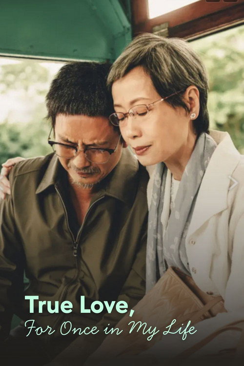 Movie poster for True Love, For Once in My Life (2025)