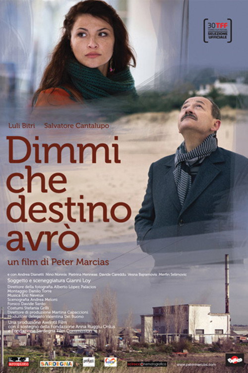 Movie poster for Dimmi che destino avrò (2012)