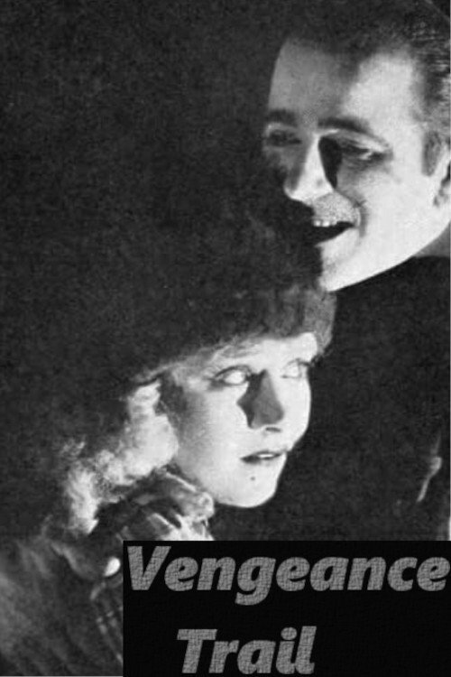 Movie poster for The Vengeance Trail (1921)