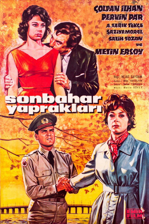 Sonbahar Yaprakları poster