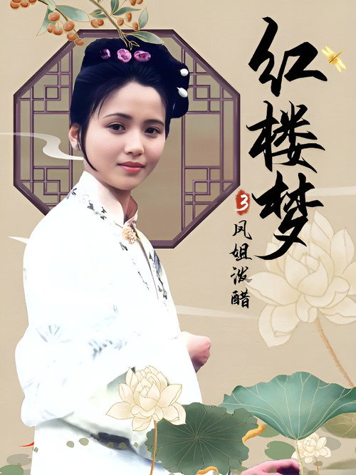Movie poster for 红楼梦第三部：凤姐泼醋 (1989)