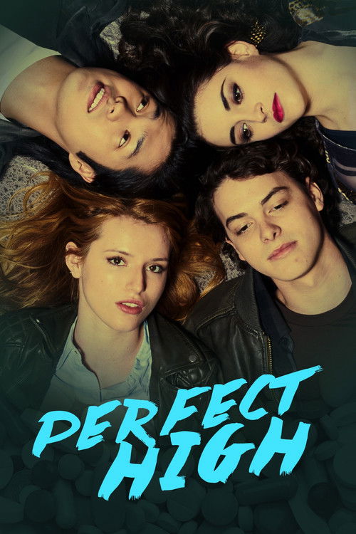 Movie poster for Perfect High (2015)