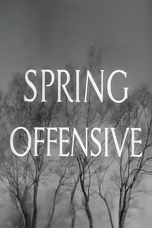 Movie poster for Spring Offensive (1940)