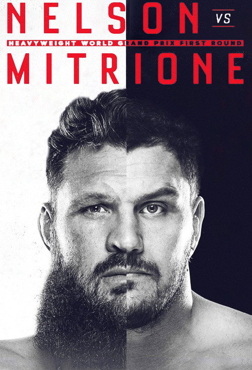 Movie poster for Bellator 194: Mitrione vs. Nelson 2 (2018)