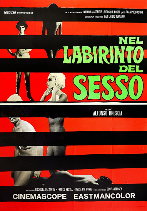 Movie poster for The Labyrinth of Sex (1969)