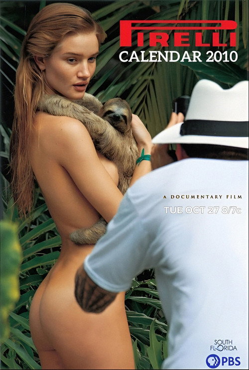Movie poster for Pirelli Calendar 2010 (South Florida PBS) (2009)