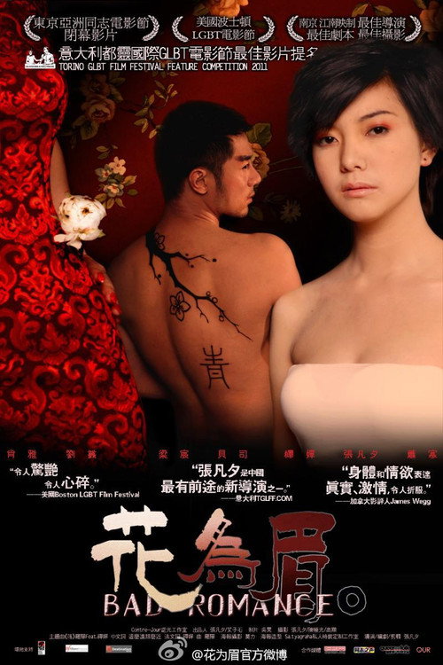 Movie poster for Bad Romance (2011)