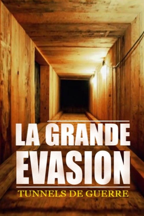Movie poster for The Great Escape (2017)