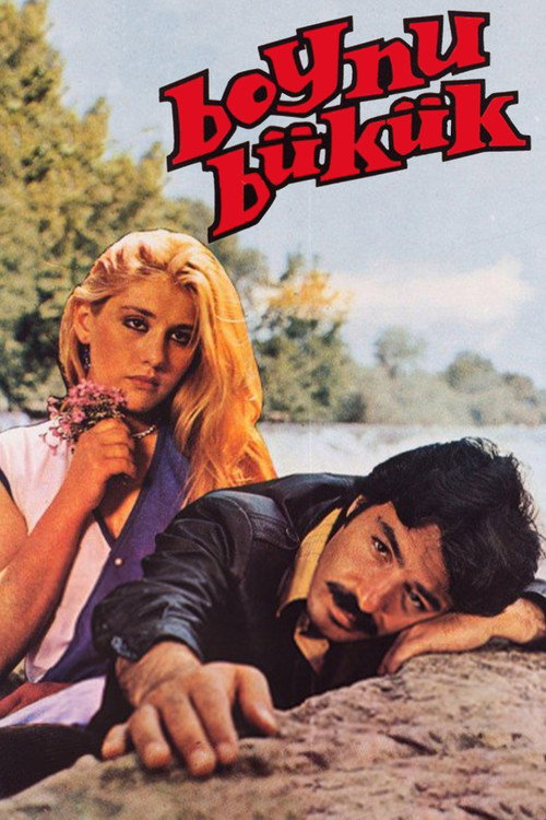 Movie poster for Boynu Bükük (1980)