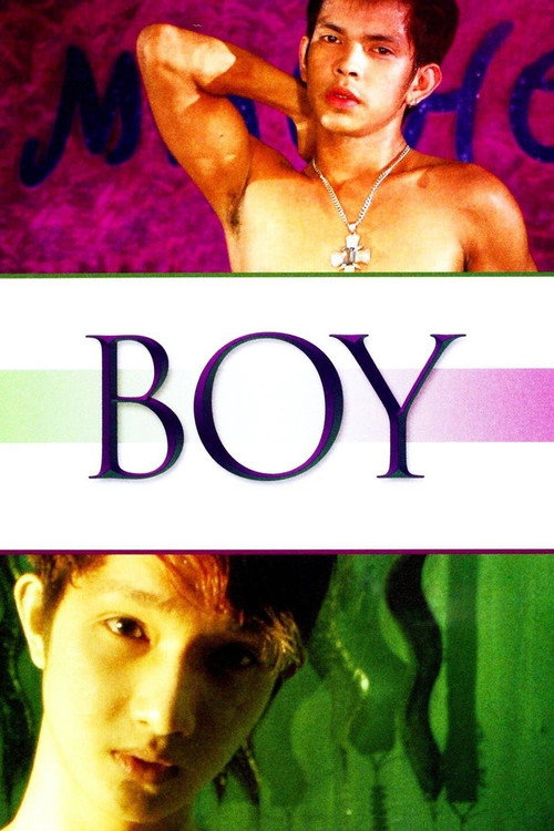 Movie poster for Boy (2009)