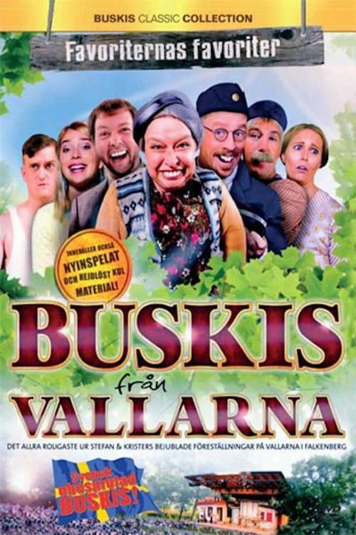 Movie poster for Buskis från Vallarna (2010)