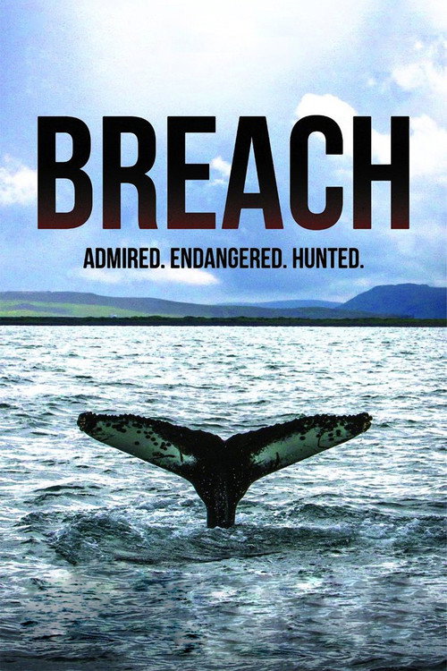 Movie poster for Breach (2015)