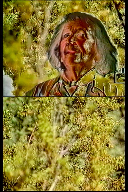 Movie poster for Lilith (1987)