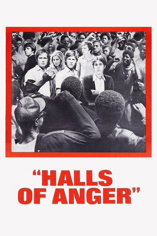 Movie poster for Halls of Anger (1970)
