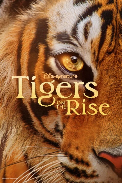 Movie poster for Tigers on the Rise (2024)