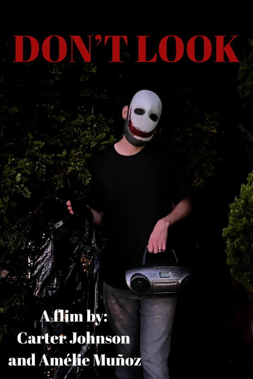 Movie poster for Don't Look (2024)